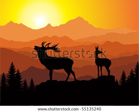 Vector Family Of Deer In Mountains - 55135240 : Shutterstock