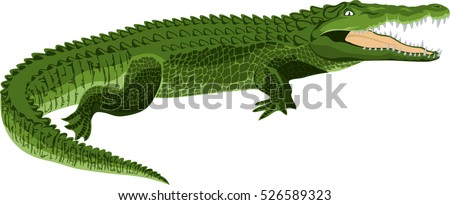 vector Wildlife crocodile