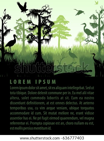 vector rainforest wetland silhouettes in sunset design template