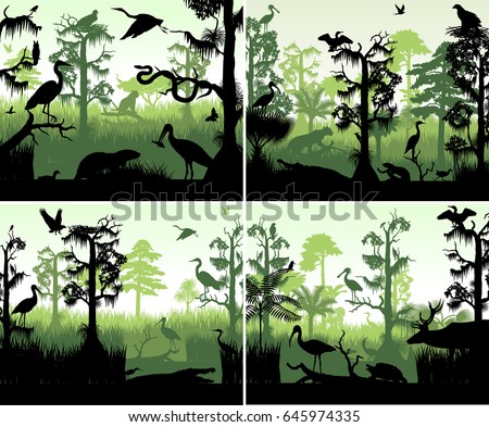 set of vector rainforest wetland silhouettes in sunset design template with animals