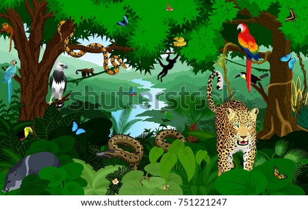 Rainforest with animals vector illustration. Vector Green Tropical Forest jungle with parrots, jaguar, boa, peccary, harpy, monkey, frog, toucan, anaconda and butterflies.