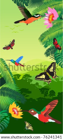 vector tropical rainforest with humming-birds and butterflies