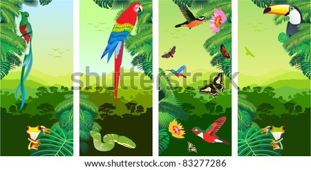 Set of Jungle Banners with Frog, Toucan, quetzal, humming-birds, butterflies , Ara and Green Snake