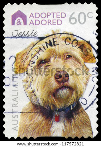 AUSTRALIA - CIRCA 2010: A Stamp printed in AUSTRALIA shows the Dog \