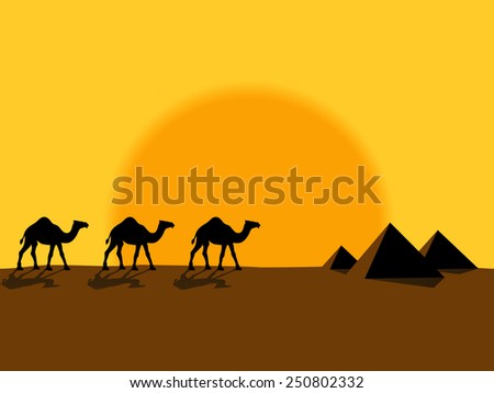 Desert evening landscape with the camels and pyramids