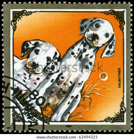 MONGOLIA - CIRCA 1984: A Stamp printed in MONGOLIA shows image of a Dalmatians from the series \