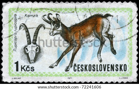 CZECHOSLOVAKIA - CIRCA 1971: A Stamp printed in CZECHOSLOVAKIA shows the image of the Chamois with the description 