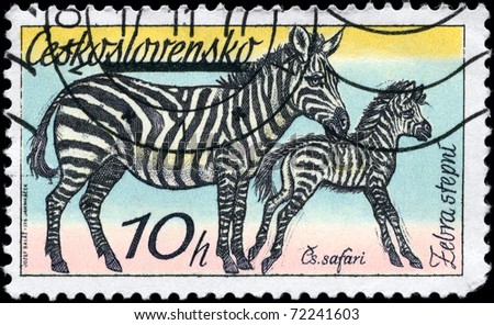 CZECHOSLOVAKIA - CIRCA 1976: A Stamp printed in CZECHOSLOVAKIA shows the image of the Zebras from the series 