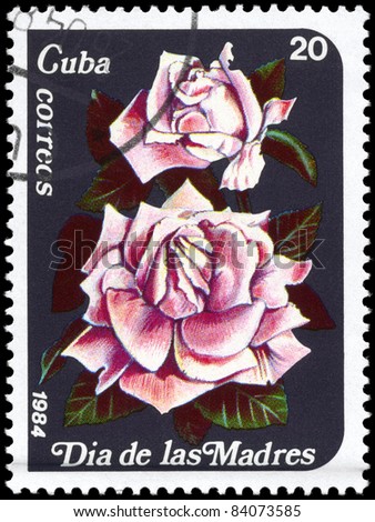 CUBA - CIRCA 1984: A Stamp printed in CUBA shows image of a Pink roses, from the series \