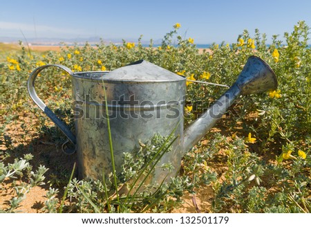Watering can amidst a  spring flower bed