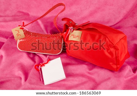 Small bag and big bag, a mothers day concept