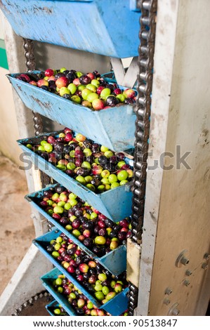 Detail of an olive processing plant, product being moved into the mill