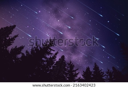 Night nature landscape, trees and mountains, half moon and meteor shower. Star shower in the night purple sky over pine forest vector illustration