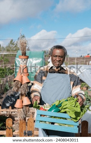 Similar – Image, Stock Photo Urban Gardening Self Support