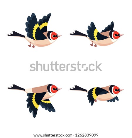 
Vector illustration of cartoon flying European Goldfinch sprite sheet isolated on white background. Can be used for GIF animation 