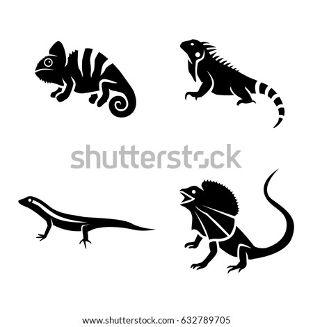 Lizard Silhouette Vector | 123Freevectors