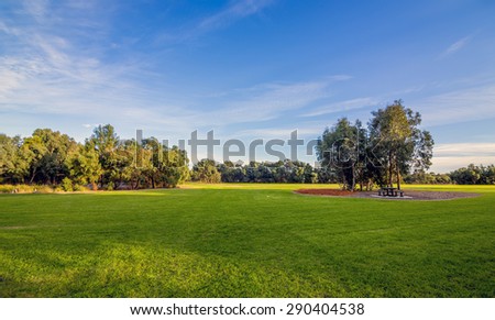 Beautiful park with blue sky and Sun, a vast of green land and trees.