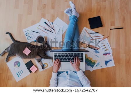 Photo of creative home work space - work from home concept - girl with cat