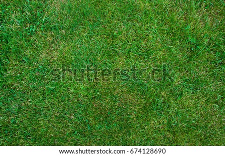 Similar – Image, Stock Photo Plot Garden Grass Meadow