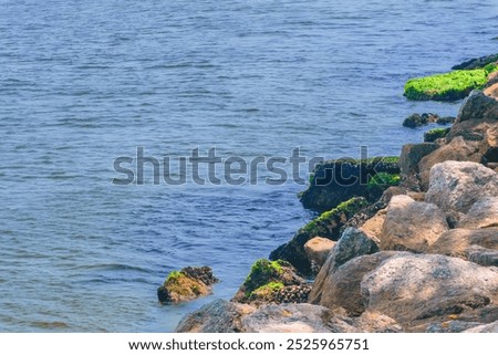 Similar – Image, Stock Photo Rippling sea with rocky coast in twilight