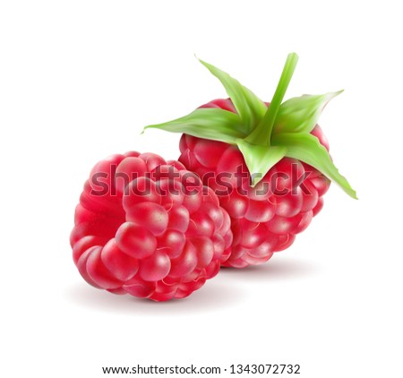 Realistic Raspberry, Fresh Sweet Fruit, Isolated on white Background, Hand Drawn Vector 3D Illustration