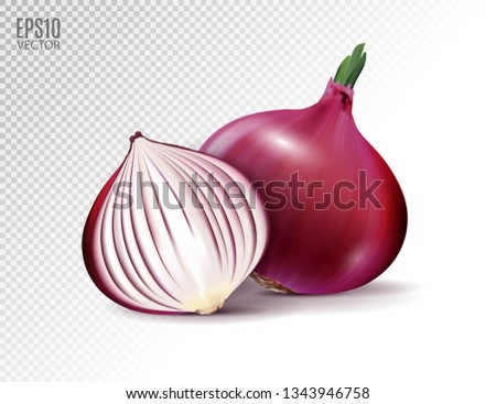 Vector fresh whole and half red onion bulbs on transparent background. Realistic vector, 3d illustration