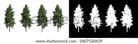 Similar – Image, Stock Photo Crown Of Pine Trees Woods Under Night Starry Sky. Night Landscape With Natural Real Glowing Stars Over Forest