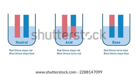 Acids cause blue litmus paper to turn red. Bases cause red litmus paper to turn  blue. Scientific vector illustration isolated on white background.