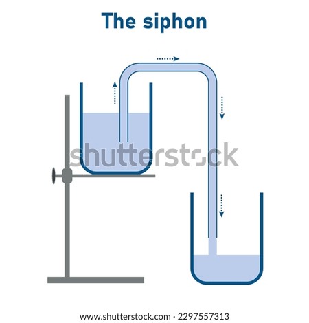 Simple liquid siphon physics principles. Siphon water from lower level to higher level. Scientific diagram. Physics resources for teachers. Vector illustration isolated on white background