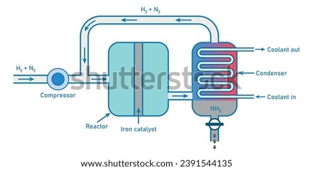 The Haber process. Scientific resources for teachers and students.