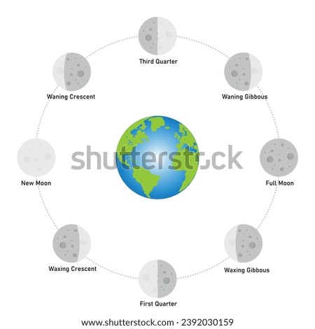 Phase of the moon diagram. The moon orbits around the earth. Third quarter, waning gibbous, full moon, waxing gibbous, first quarter, waxing crescent, new moon and waning crescent. Vector illustration