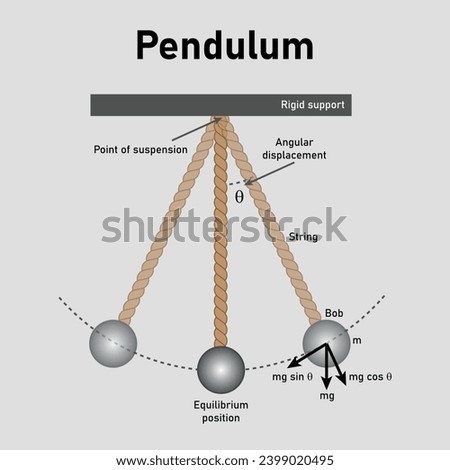 Simple pendulum diagram. Rigid support, point of suspension, angular displacement. Simple harmonic motion. Scientific resources for teachers and students. Vector illustration.