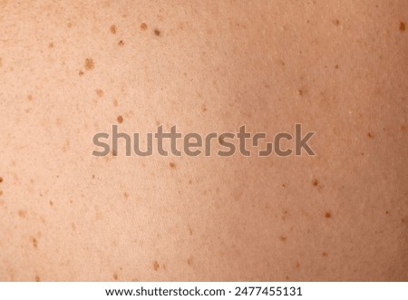 Similar – Image, Stock Photo Spot of color|close up of poppy blossom in cornfield