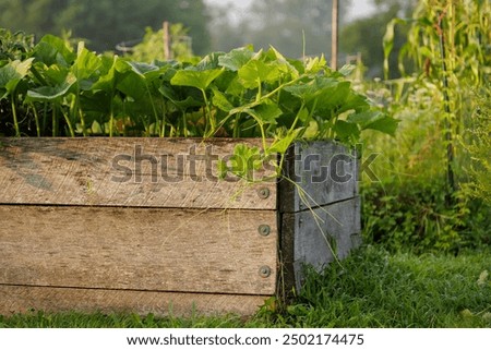 Similar – Image, Stock Photo Raised beds in the garden