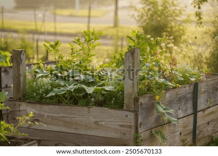 Similar – Image, Stock Photo Raised beds in the garden