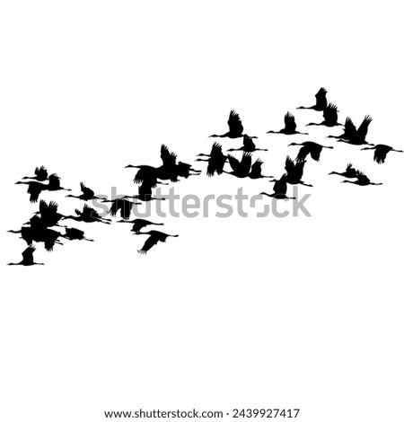 So Many Comman Cranes Are Flying In The Air Silhouette Vector EPS