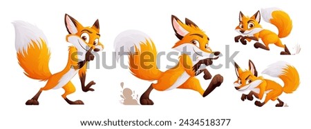 A set of four cunning but cute foxes. Adult foxes in dynamic poses. Wild animals of the forest.