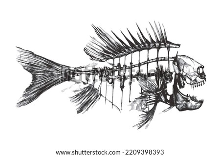 Fish skeleton. Fantastic Sea monster. Doodle sketch. Vector illustration. Isolated on white background.