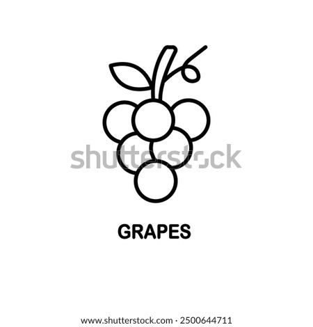 Grape icon. Grape line sign design. Grape symbol vector pictogram.