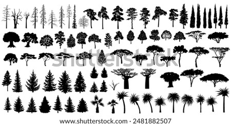 Big set of tree silhouettes. Trees of different natural zones, vector illustration.