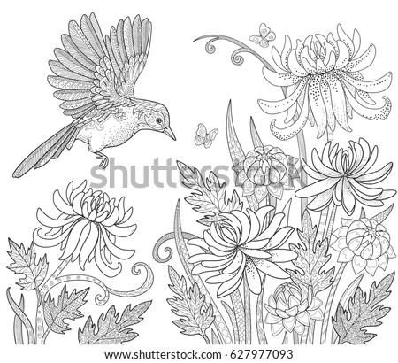 Bird And Flowers Butterfly In Garden Page For Adult Coloring Book Doodle Vector