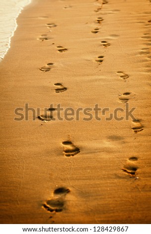 human footprints on the beach sand.Traces on the beach of a man and a woman.Footsteps on the beach by the sea in summer