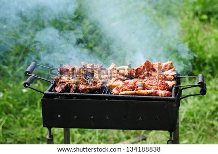 Barbecue in the forest.shashlik at nature.Process of cooking meat on barbecue, closeup.Barbecue with meat in metal grate, closed-up in forest with grass