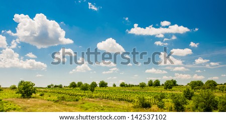 Green field under beautiful dark blue sky.Field of grass and perfect blue sky.hilly field with fluffy white clouds in the blue sky.Landscape of field and sky.Wheat field over cloudy sky