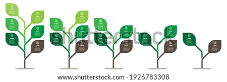 Business presentation with 5 steps or processes. Info graphic. Vertical infographics or time lines with 2, 3, 4, 5, 6 parts. Stylized trees with leaves. Development and growth of the green technology.