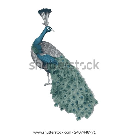 Illustration of a bird, peacock, illustration modern, simple, ferns, T-shirt design in the style of Studio Ghibli, pastel colors for a notebook, graphics, cute and unusual, fantasy art, watercolor