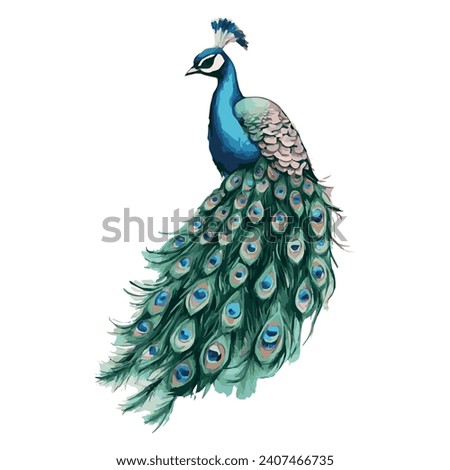 Illustration of a bird, peacock, illustration modern, simple, ferns, T-shirt design in the style of Studio Ghibli, pastel colors for a notebook, graphics, cute and unusual, fantasy art, watercolor 