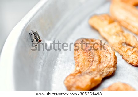 Fly look around fry food exposed to sunlight. Disease risk. Close up and macro.