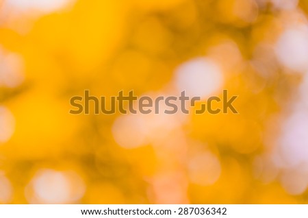 Orange bokeh abstract background from tree shade