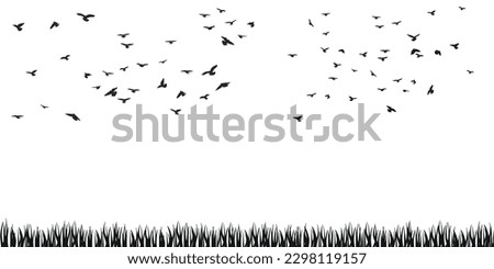 A flock of flying birds silhouette, flight in different positions. Hover, soaring, landing, flying, flutter. Isolated vector